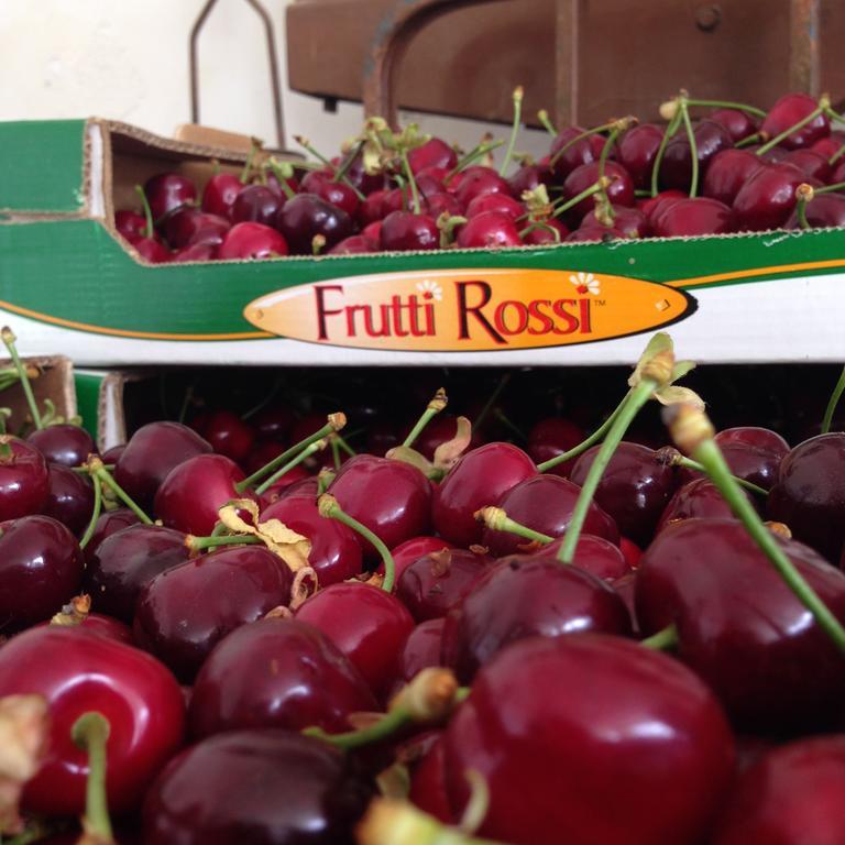 Agriturismo Fruttirossi Trofarello Bagian luar foto
