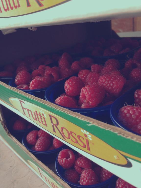 Agriturismo Fruttirossi Trofarello Bagian luar foto
