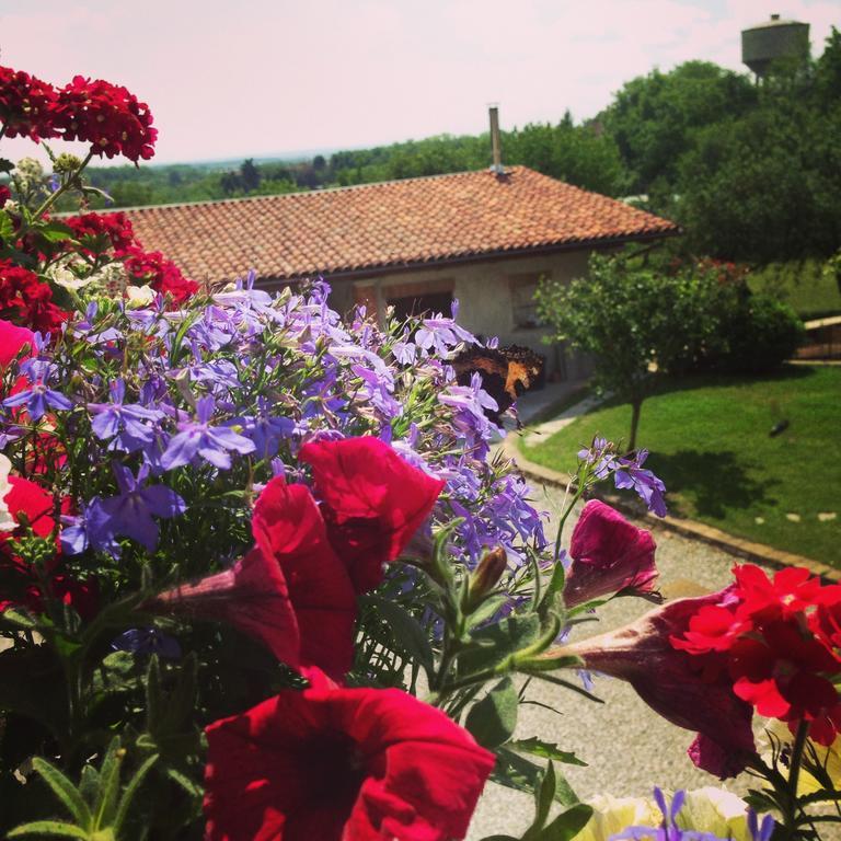 Agriturismo Fruttirossi Trofarello Bagian luar foto